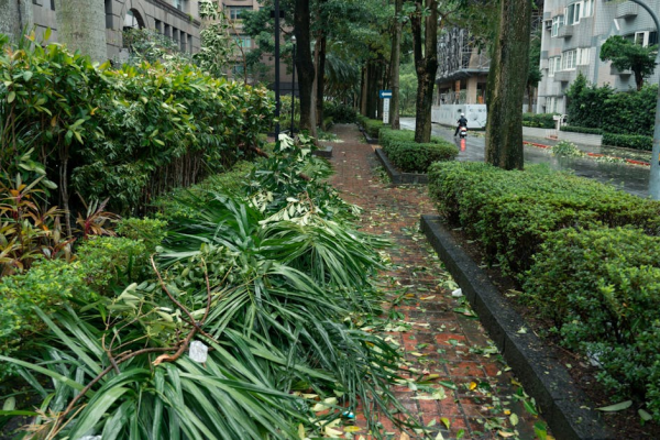 示意圖-「卡爾梅吉」重創越南！多城陷黑暗、損失慘重！