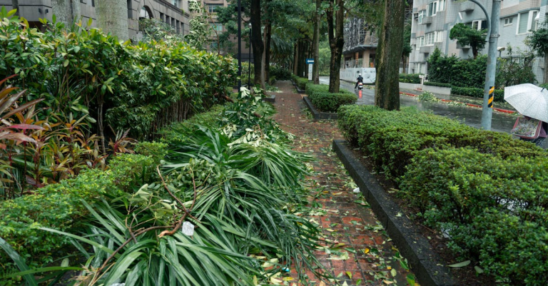示意圖-「卡爾梅吉」重創越南！多城陷黑暗、損失慘重！