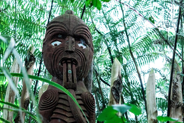 示意圖-紐西蘭廢毛利語教學引發怒火！