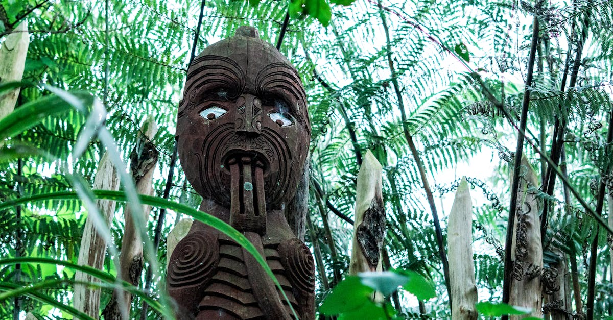 示意圖-紐西蘭廢毛利語教學引發怒火！