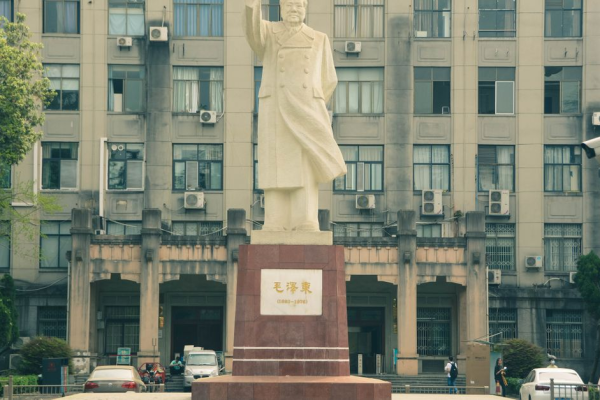11971103613341