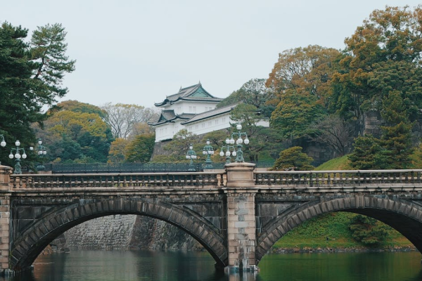 示意圖-日本皇室新希望！悠仁親王成年，承擔傳承重責