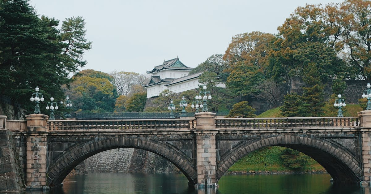示意圖-日本皇室新希望！悠仁親王成年，承擔傳承重責