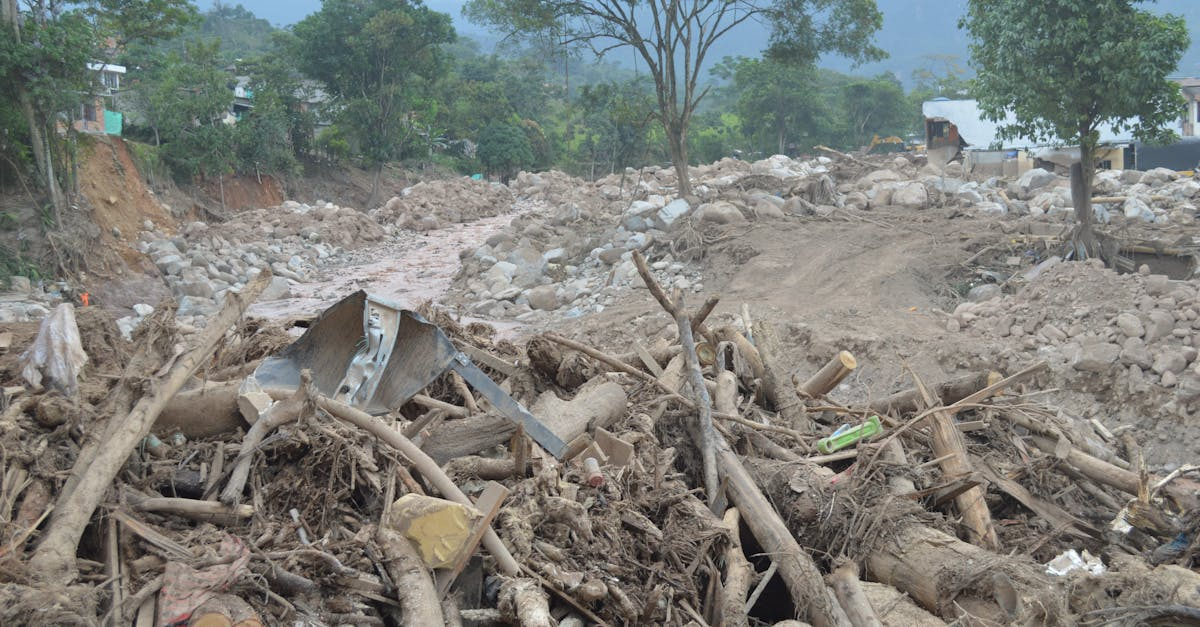 示意圖-印尼洪災慘重千人罹難！濫伐森林成災情元兇？專家警告「新常態」來襲！
