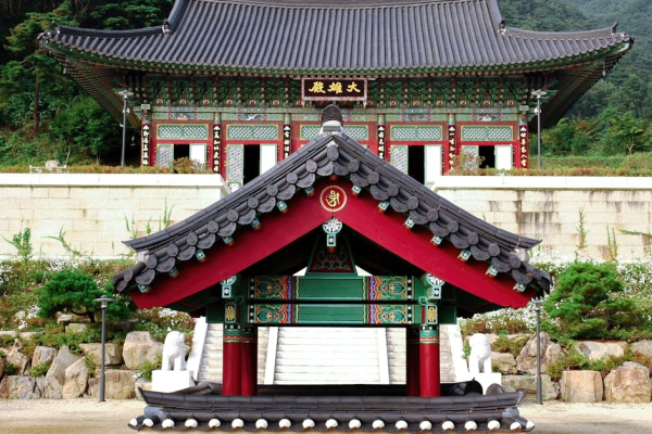 示意圖-驚！1月24日：韓國百年史的關鍵時刻