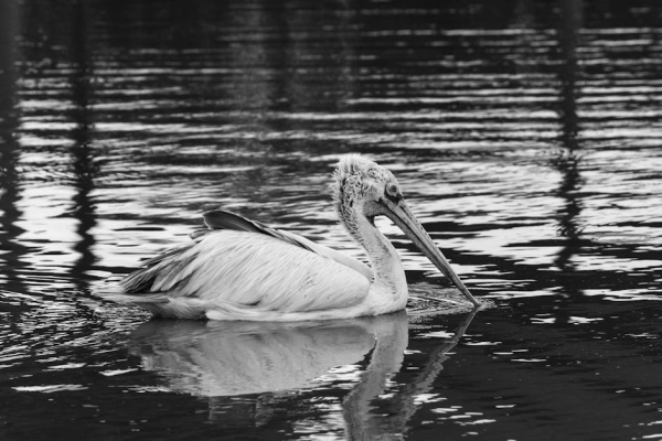 示意圖-韓流巨星暖心援港！傳奇影星殞落，K-POP團體再創巔峰