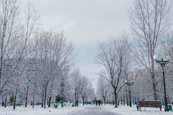 示意圖-朝俄外長莫斯科會談：深化合作，金普會後關係再攀高峰！