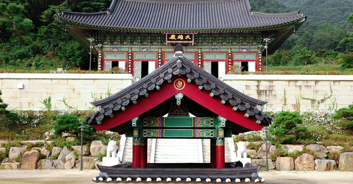 示意圖-1月24日韓國歷史驚奇：獨立抗日、網球傳奇與導彈風雲！