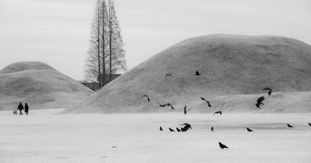 示意圖-北韓金正恩親自督導核潛艦建造，怒斥南韓核武計畫！