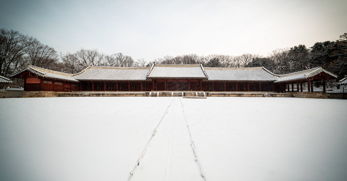 示意圖-南韓政壇震撼彈！前總理遭判23年當庭逮捕