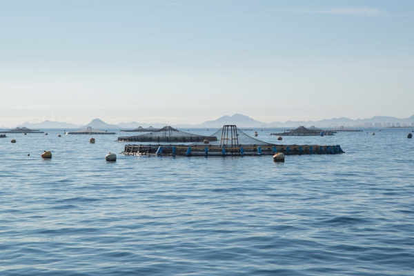 示意圖-黃海爭議設施遷移 韓國正面評價 中方：自主調整非外交成果