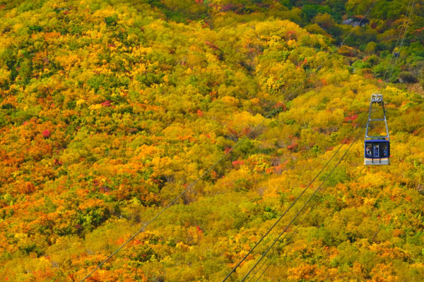 示意圖-日本立山黑部楓紅盛況！絕美景色不容錯過