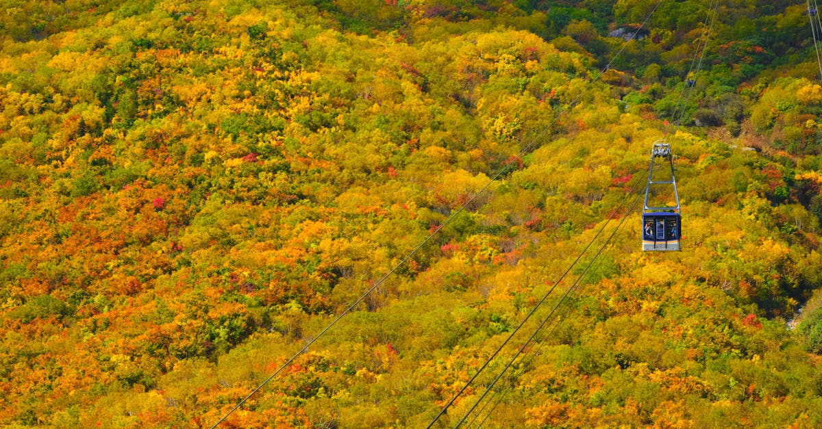 示意圖-日本立山黑部楓紅盛況！絕美景色不容錯過