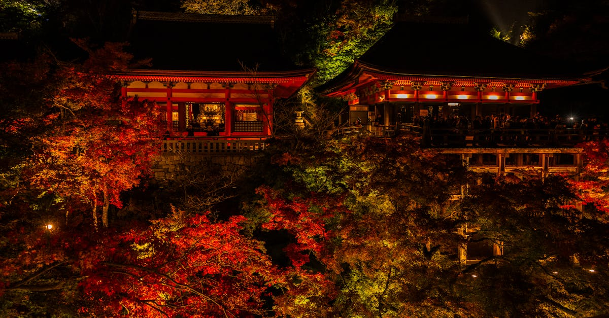 示意圖-清水寺夜楓點燈！古都京都秋季限定絕美登場