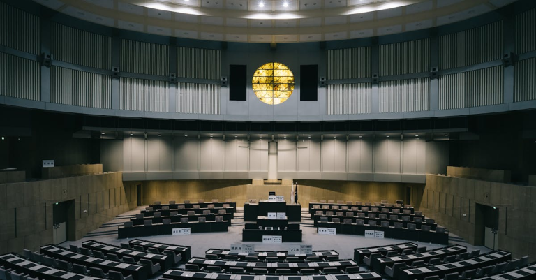 示意圖-國民民主黨聯合執政陷兩難：既怕被邊緣化又憂失影響力