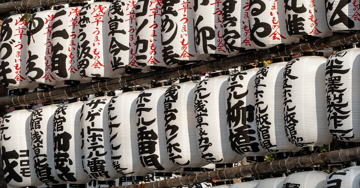 示意圖-《國寶》衝擊奧斯卡！吉澤亮、橫濱流星歌舞伎座現身