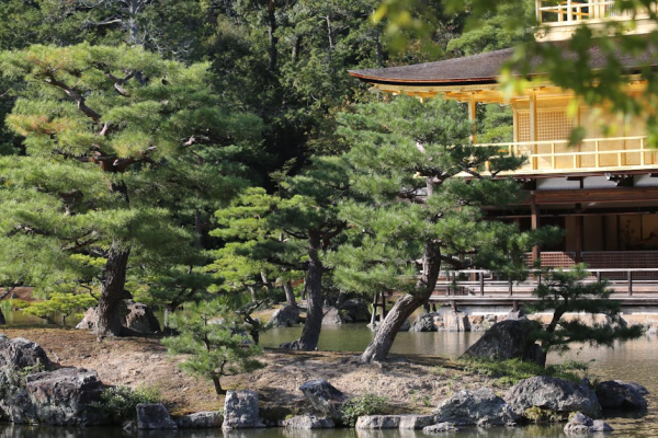 示意圖-京都銀閣寺門票翻倍漲！遊客荷包恐大失血！