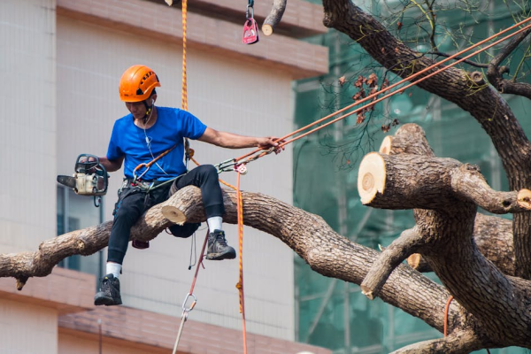 示意圖-香港宏福苑惡火：外傭捨命護幼淚水告白