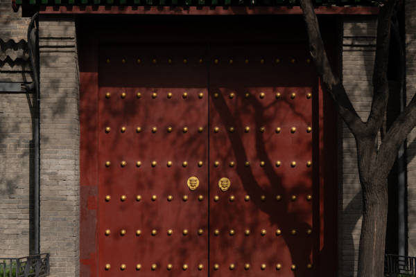 56819308667