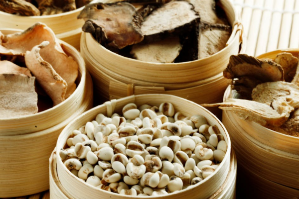 示意圖-港人瘋中醫？揭密「疑中醫論」陰影下的信任奇蹟！