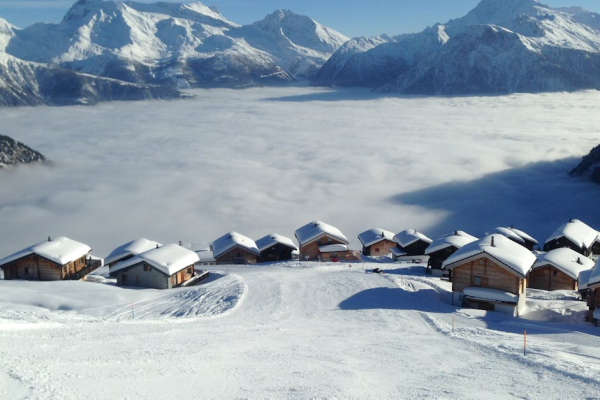 示意圖-川普和平獎夢碎！白宮怒批諾貝爾委員會「政治凌駕和平」