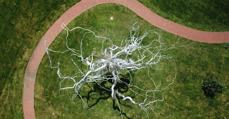 示意圖-活體「迷你大腦」電腦問世？顛覆運算未來