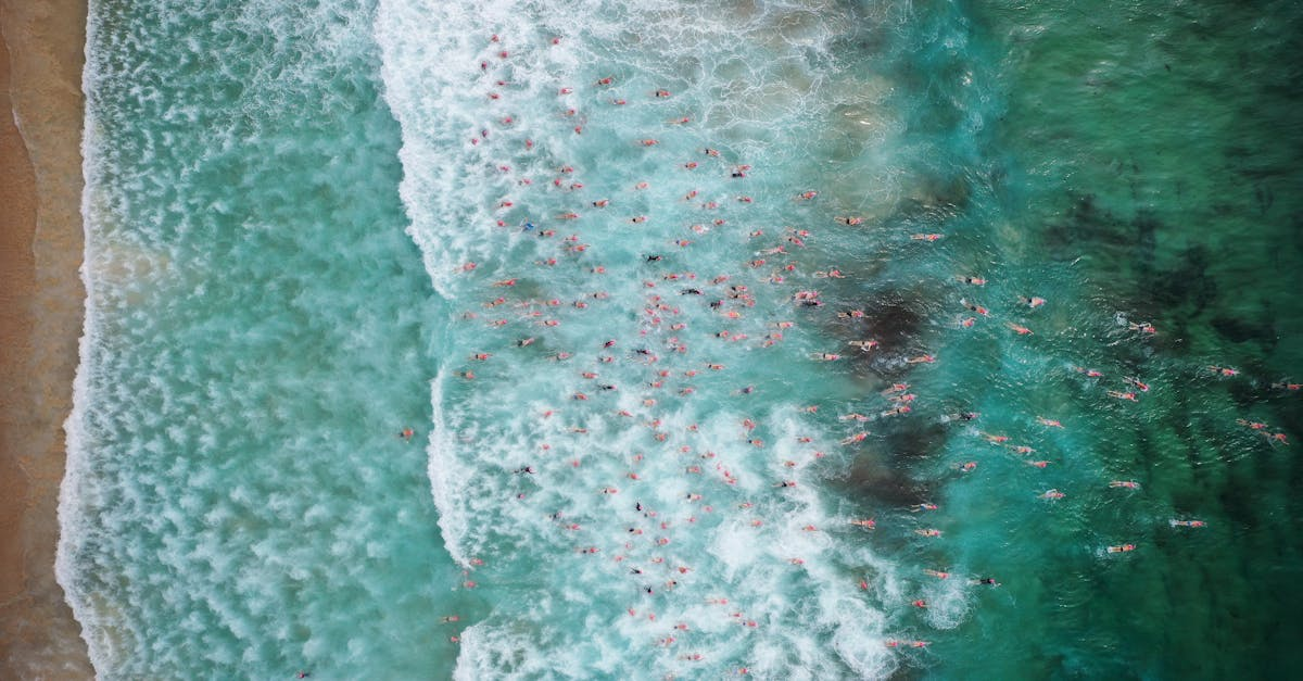 示意圖-澳洲邦迪海灘血案！光明節活動遭恐攻 16死震驚全球