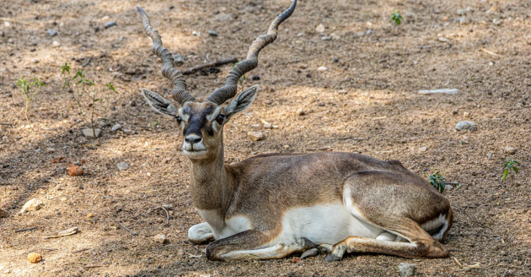 示意圖-稀土戰升溫！川普組建「稀土北約」抗中能成功？