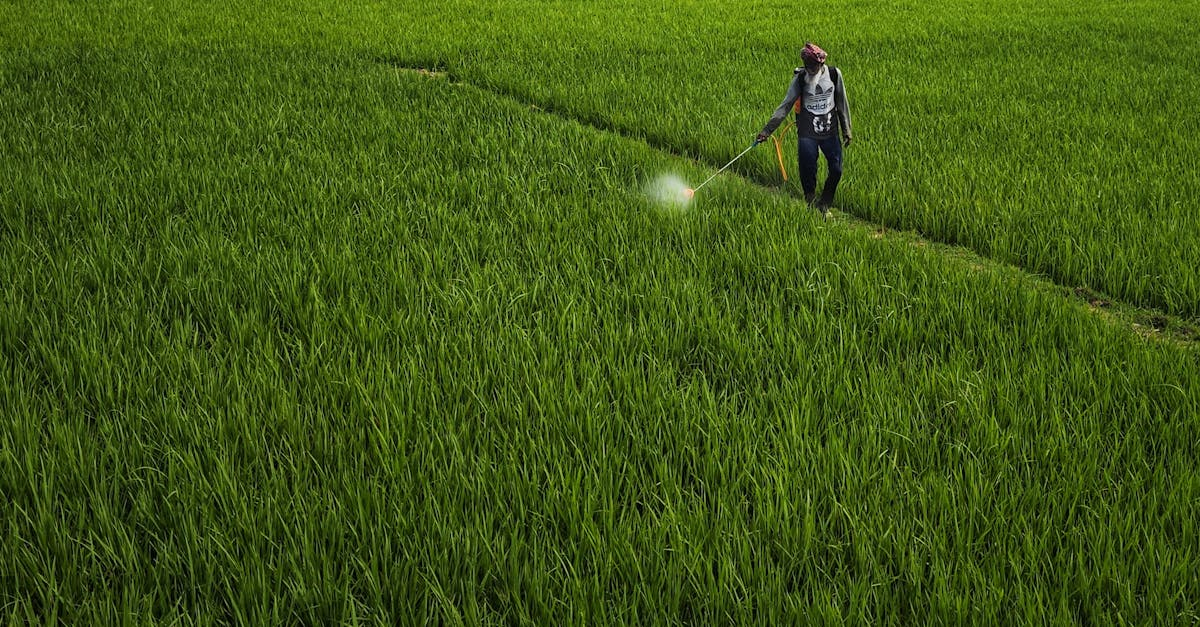 6930121210656
