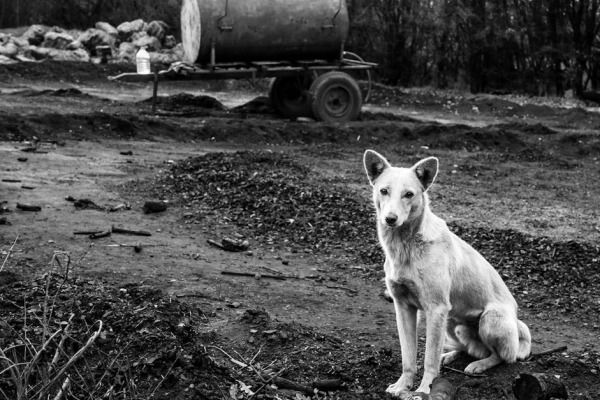 示意圖-南韓生育率探底！鄉村恐變「鬼城」？