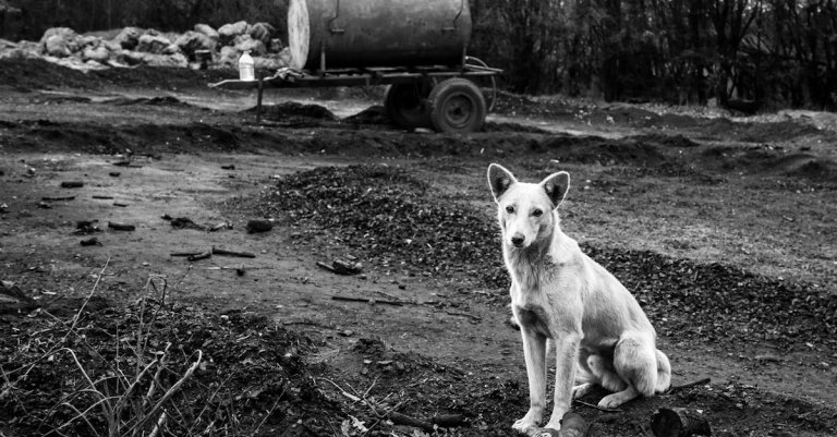 示意圖-南韓生育率探底！鄉村恐變「鬼城」？