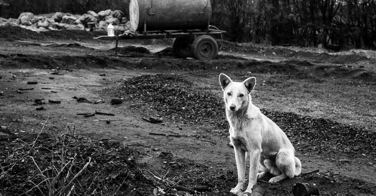 示意圖-南韓生育率探底！鄉村恐變「鬼城」？