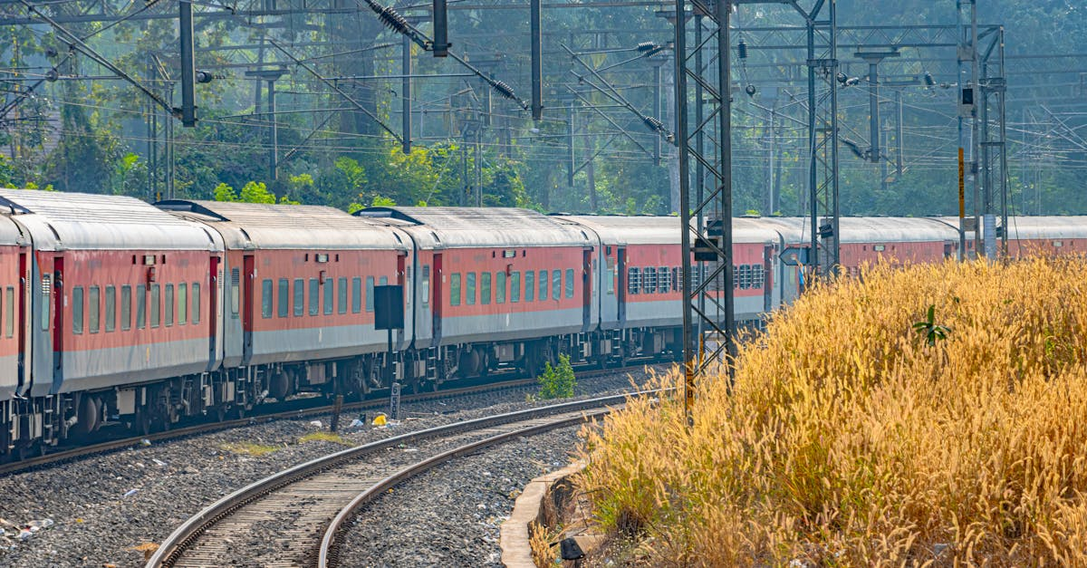 示意圖-印度監獄恐怖煉獄：偷蘋果竟也身陷囹圄？