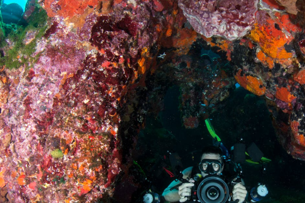 示意圖-珊瑚三角洲抗暖化之謎：科學探險隊揭開其韌性！