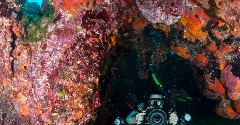 示意圖-珊瑚三角洲抗暖化之謎：科學探險隊揭開其韌性！